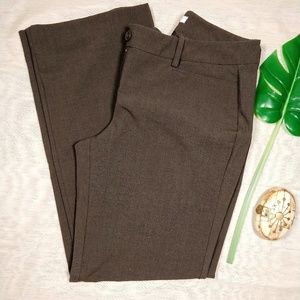 Brown Slacks, New York & Co